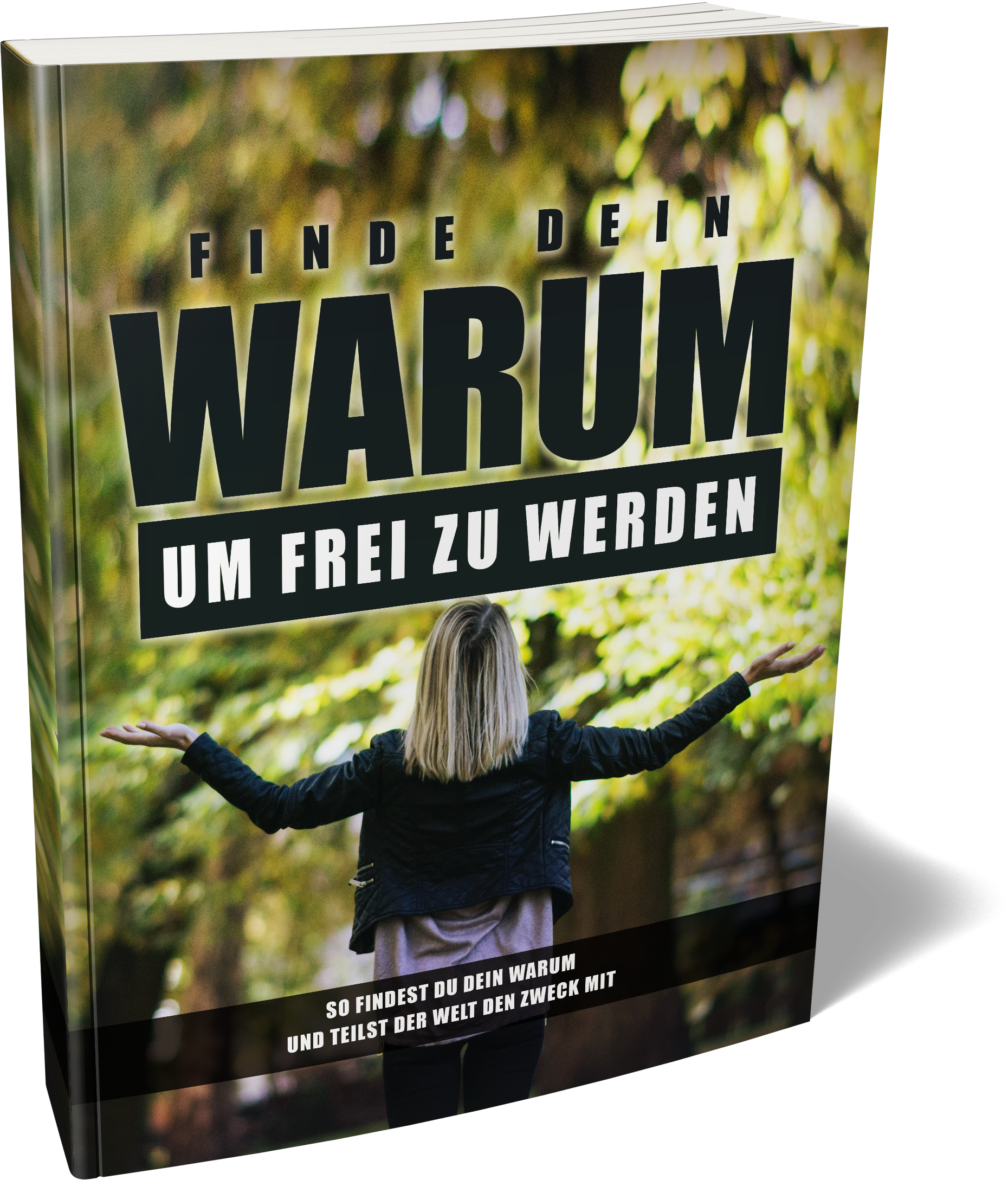 Finde dein Warum um frei zu werden